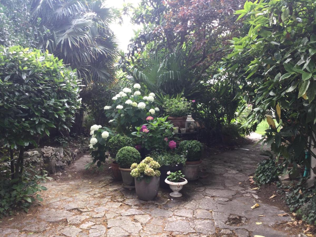 לינה וארוחת בוקר Saint-Jean-dʼAngély L'Orangerie Du General מראה חיצוני תמונה